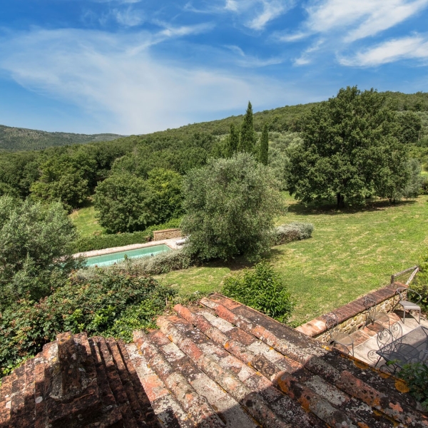 Panoramic View